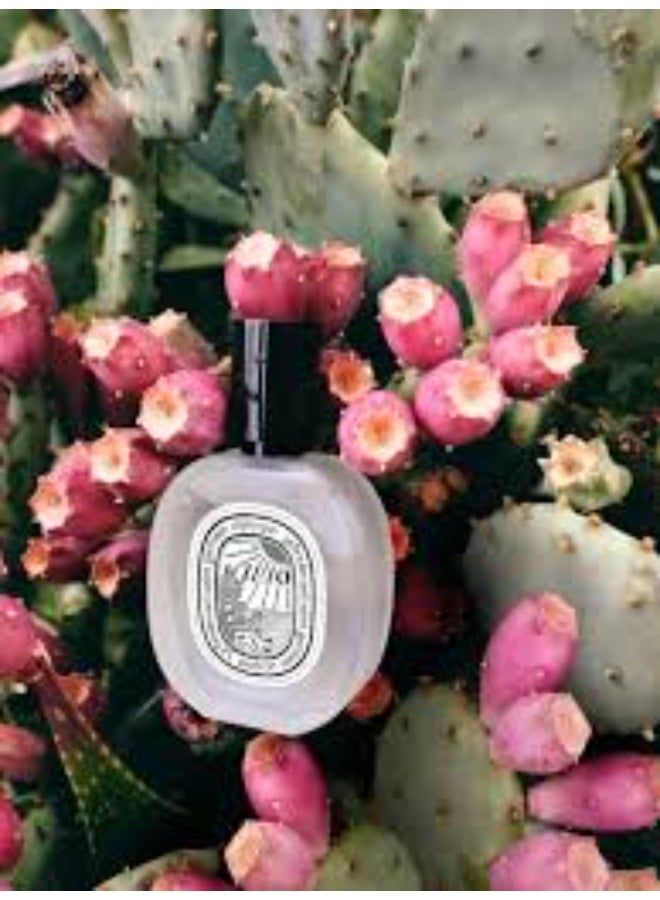Diptyque Ilio Hair Mist 30ml - Image 4